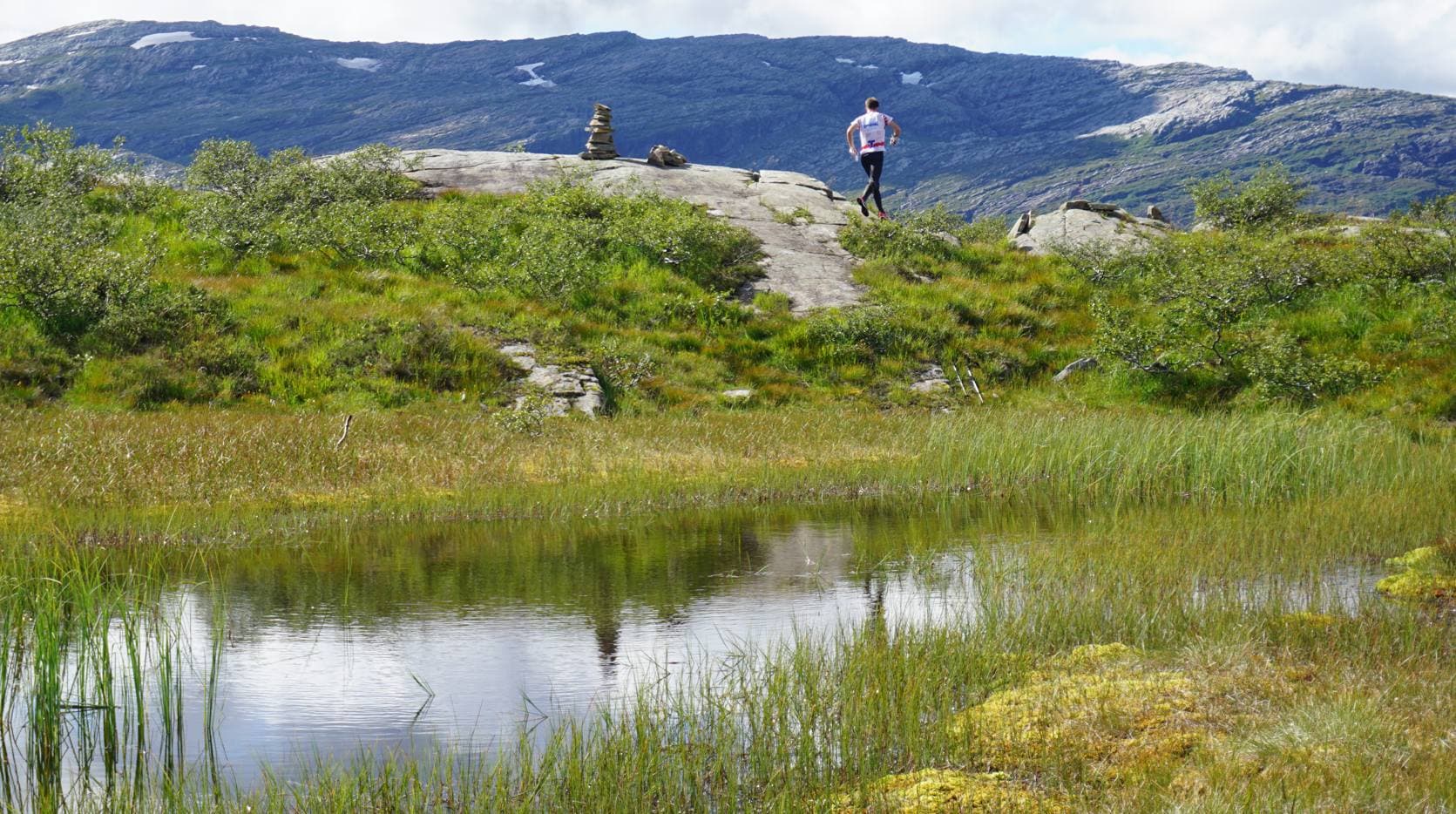 Kvamskogen o-løp